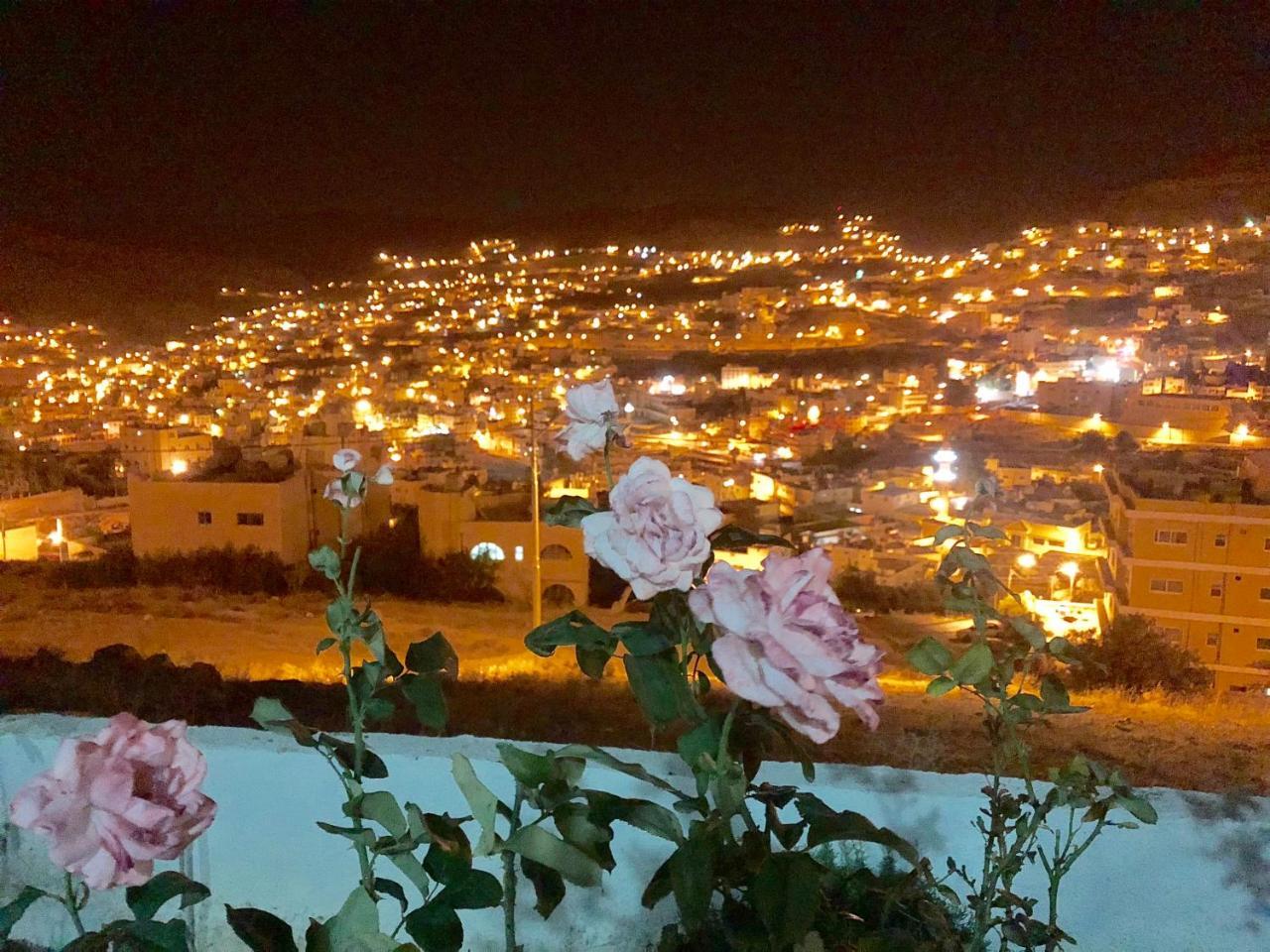 Petra Harmony Bed & Breakfast Wadi Musa Buitenkant foto