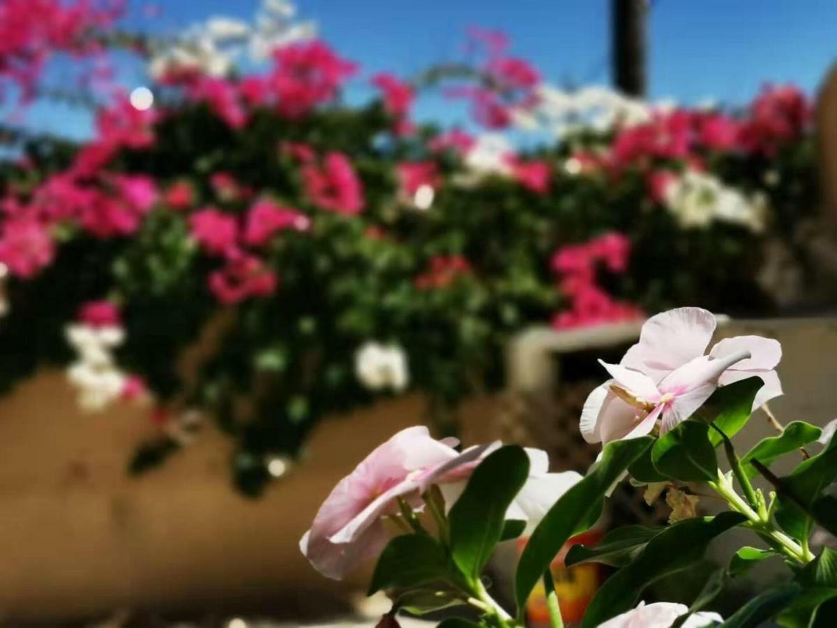 Petra Harmony Bed & Breakfast Wadi Musa Buitenkant foto